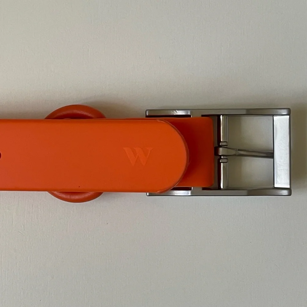 Wild One Dog Collar - XL (18-23